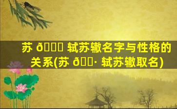苏 🍁 轼苏辙名字与性格的关系(苏 🌷 轼苏辙取名)